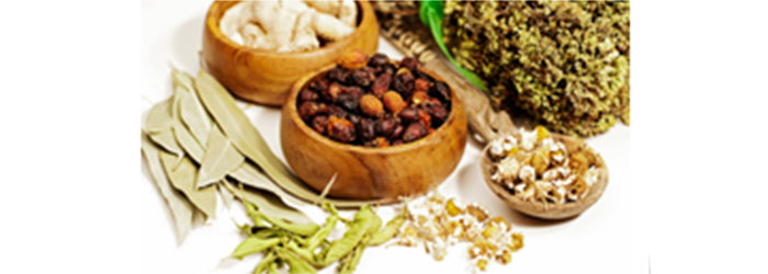Chinese Herbs for PCOS